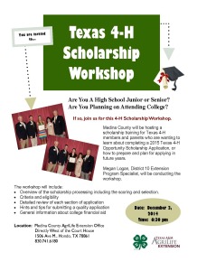 Scholarship Workshop Flyer