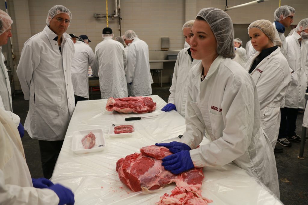 Hillary Henderson demonstrating different cuts of beef