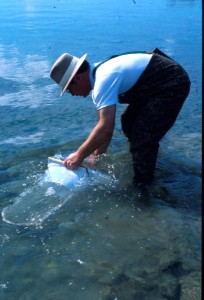 Aquatic net sampling