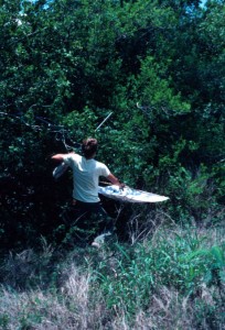 Collecting insects from tree foliage with a beating shee