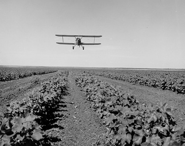 Crop duster during the 1950's. 