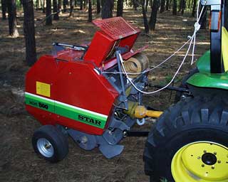 http://agrilife.org/pinestraw/files/2013/02/star.jpg