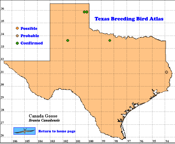 Texas Breeding Bird atlas map