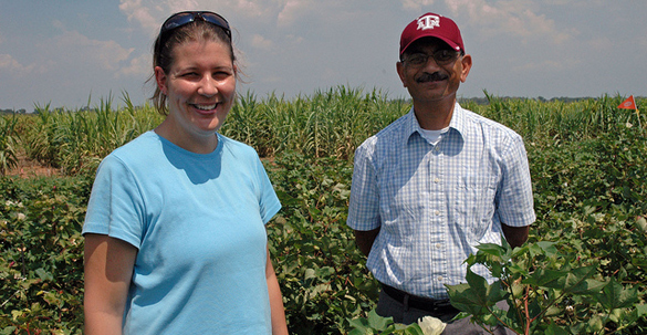 Dr. Rathore and another researcher stand in a cotton field