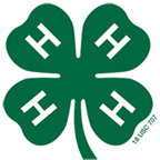 4H Clover