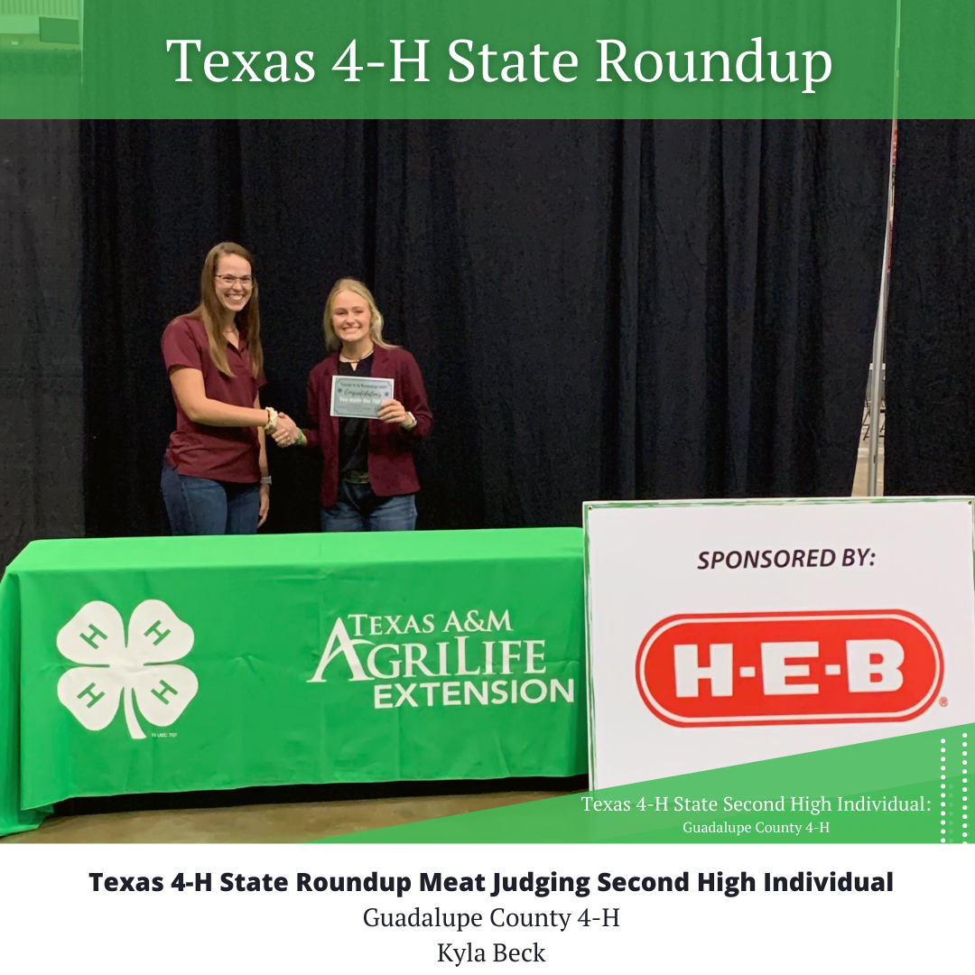 Pictures 4H Meat Judging