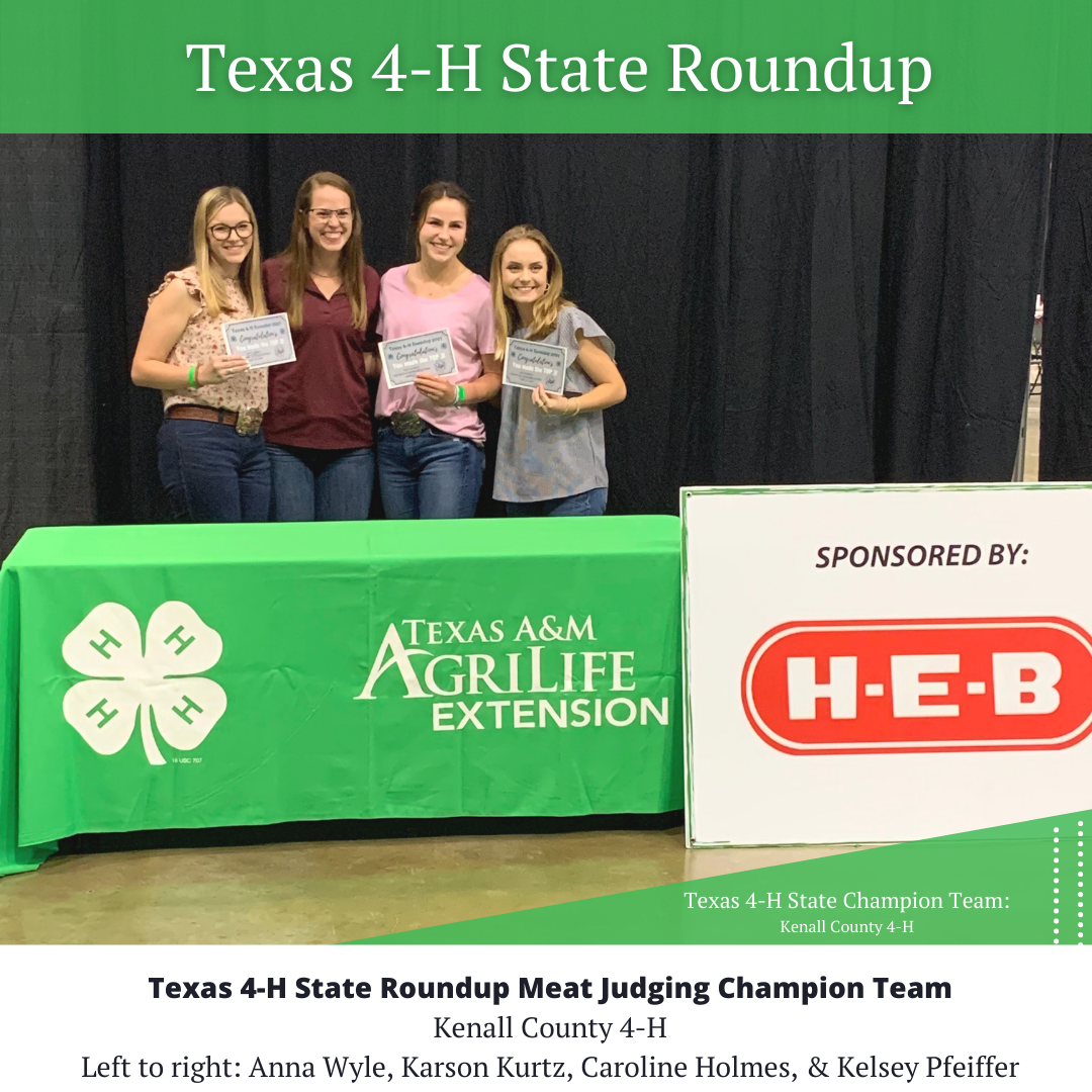 Pictures 4H Meat Judging