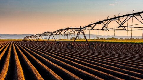 Irrigation system in field