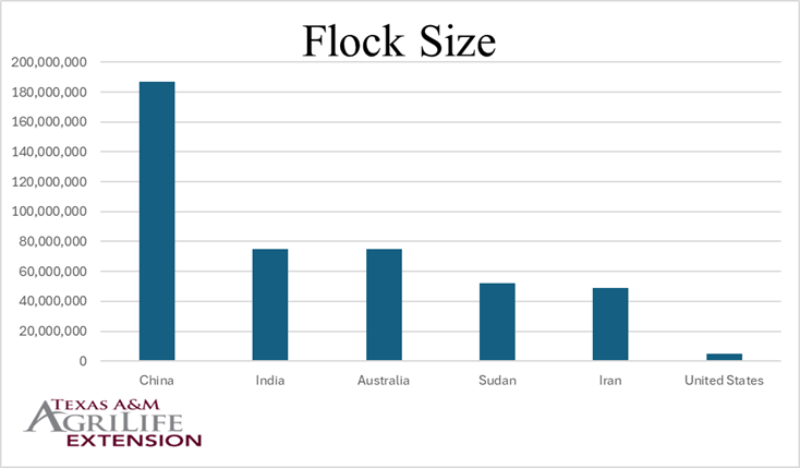 Chart of sheep flock sizes.
