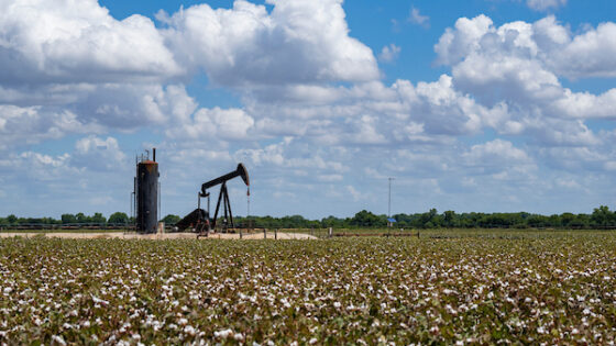 June Report Indicates More Acres Planted to Cotton - Ag Economics on ...