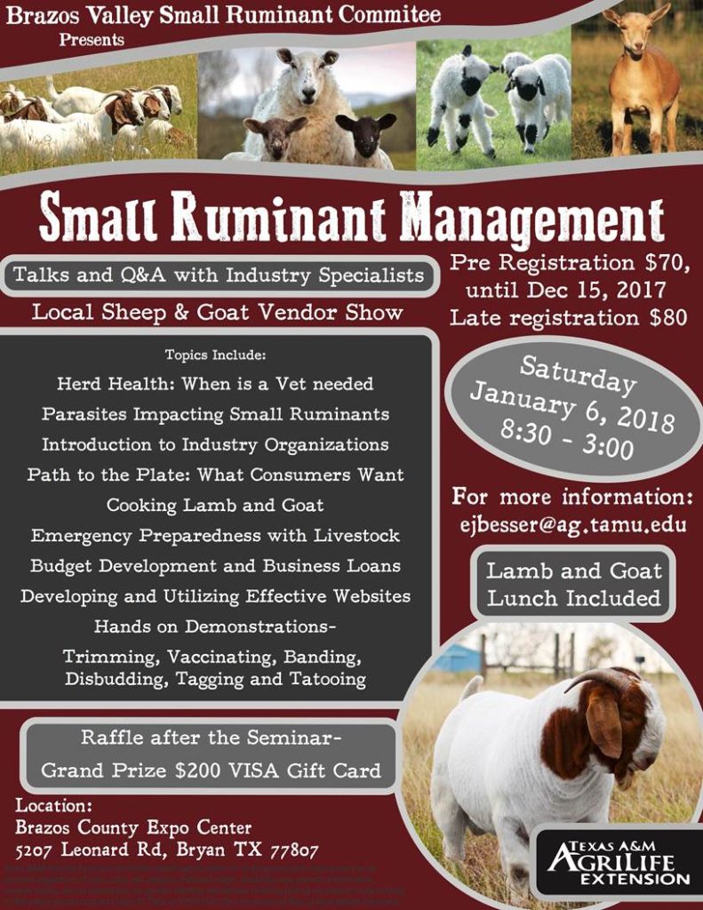 Small Ruminant Management Workshop