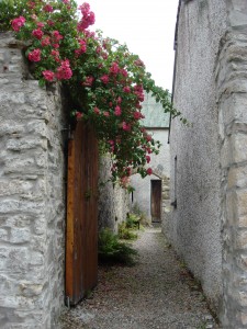 An alleyway with pink flowers growing out of the concrete wall, with a wooden door.