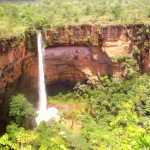 A waterfall in a canyon with multiple trees.