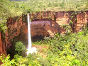 A waterfall in a canyon with multiple trees.