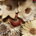 A picture of tan and red seed flowers.