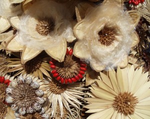 A picture of tan and red seed flowers.