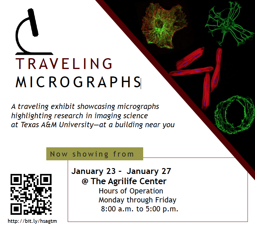 TRAVELING MICROGRAPHS: A traveling exhibit showcasing micrographs highlighting research in imaging science at Texas A&M University, January 23 – January 27 @ The Agrilife Center