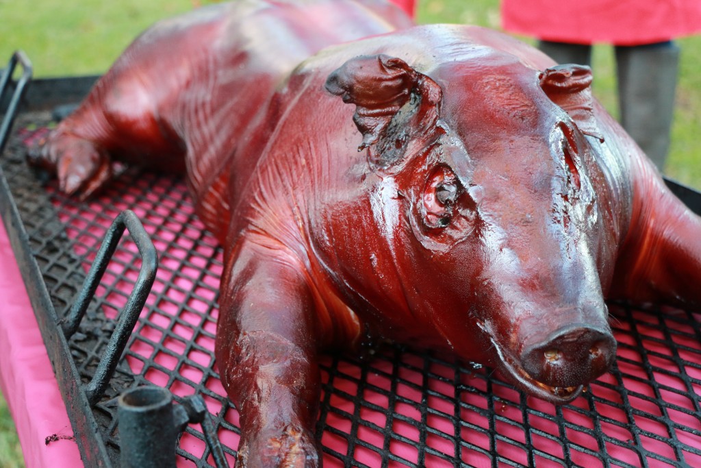 Whole pig cookery last class in ANSC 117 Texas Barbecue