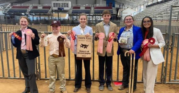 Dist 8 Livestock judging