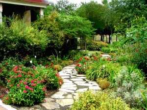 A lovely flagstone walkway carries you to the back patio and the tropical gardens were developed by Master Gardener Charles Bartlett in May 1994.