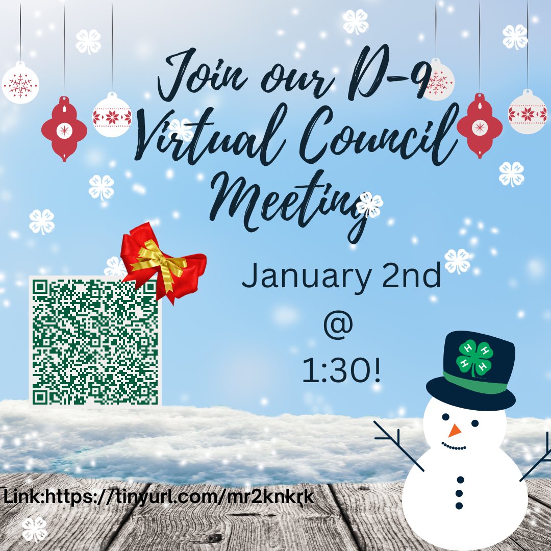D-9 Virtual Council Meeting
