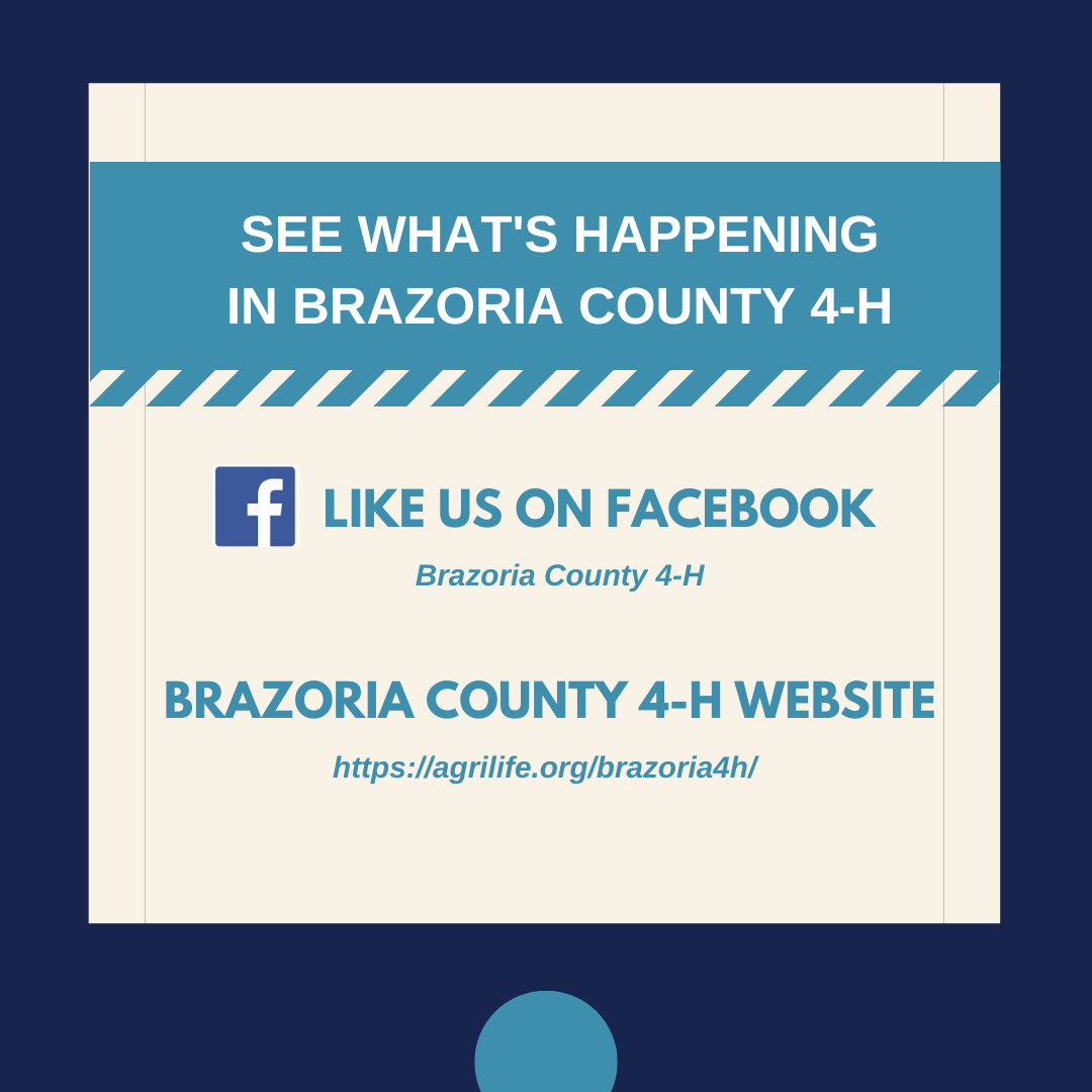 See what’s happening in brazoria County 4-H 2