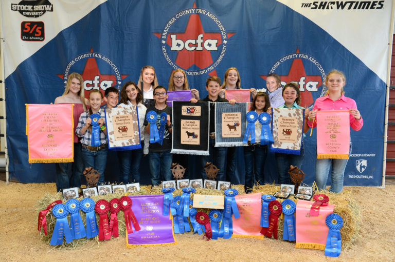 Angleton Willing Workers 4 H Brazoria County 4 H