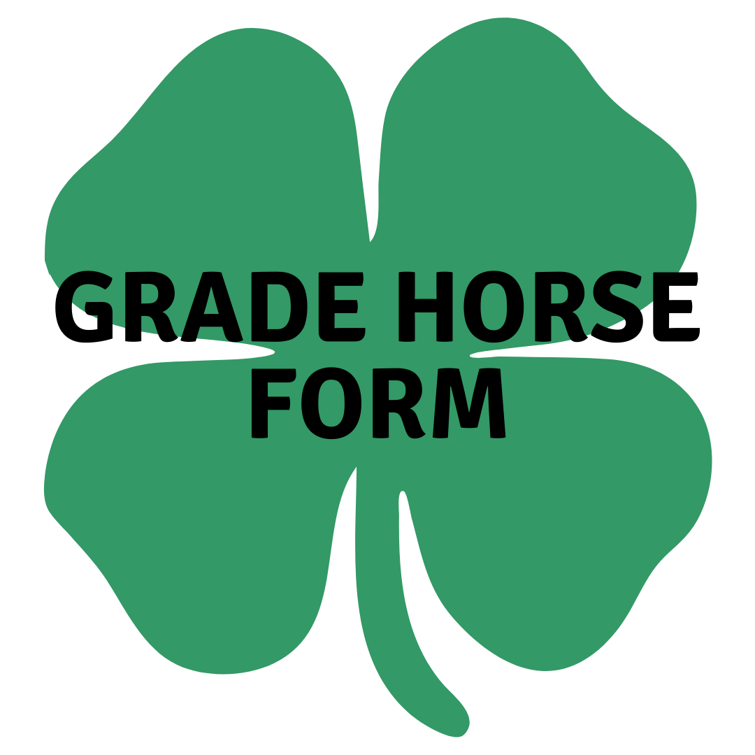 Grade Horse Form