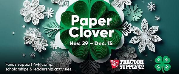 2024 Paper Clover