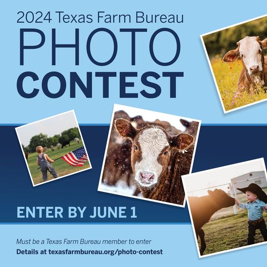 2024 Texas Farm Bureau Photo Contest