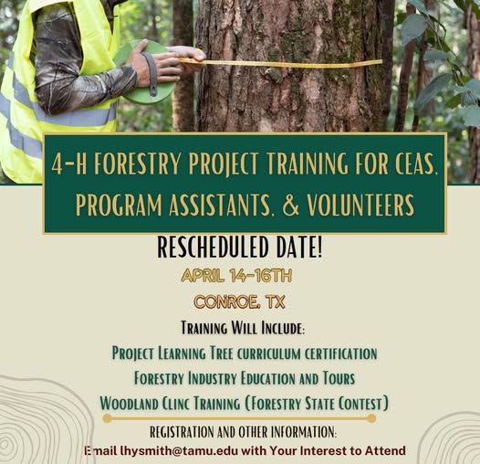 4-H Forestry Project