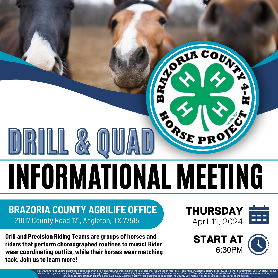 4-H Horse Drill & Squad Meeting