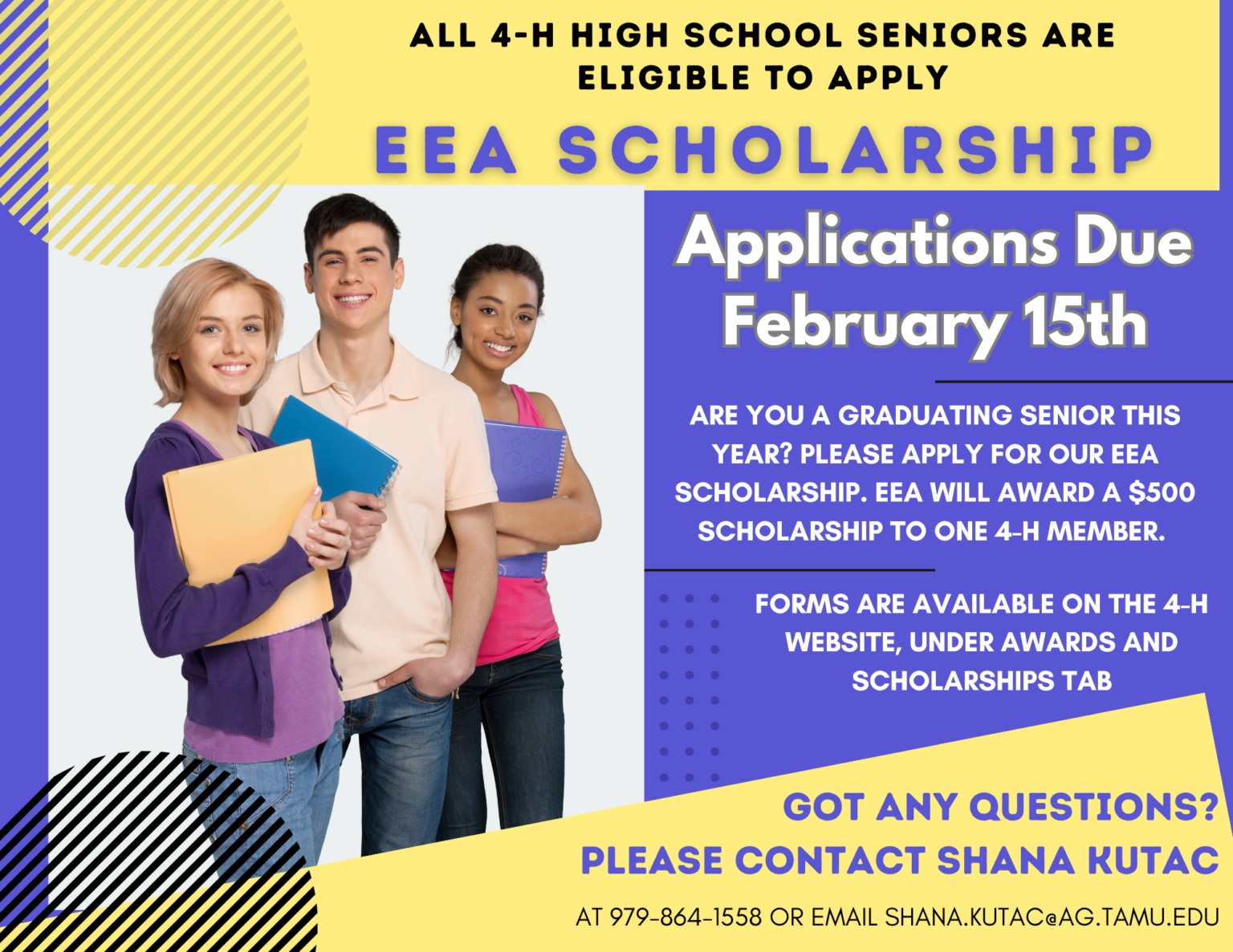 EEA Scholarship 2025