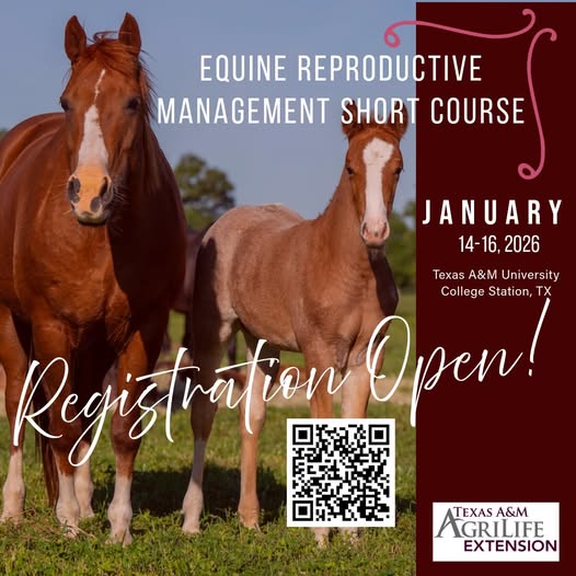 Equine Course