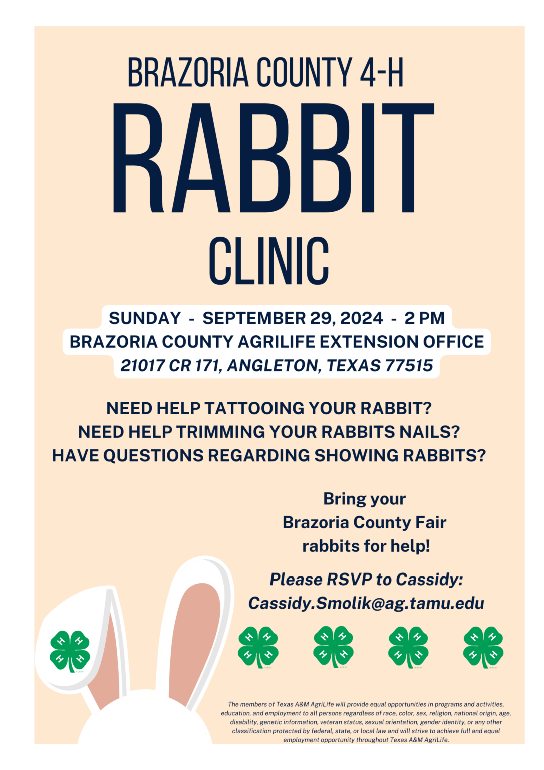 Fair Rabbit Workshop (2)