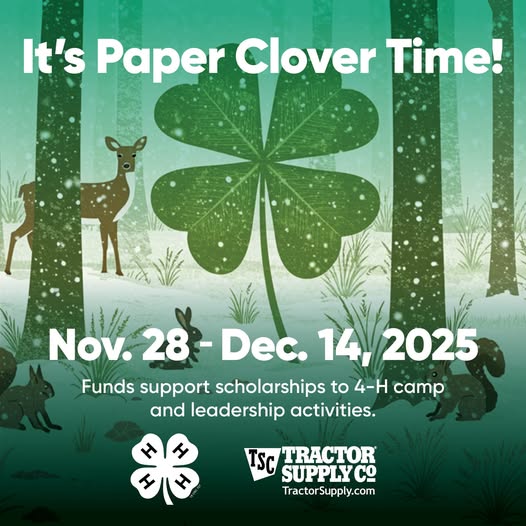 Paper Clover 2025