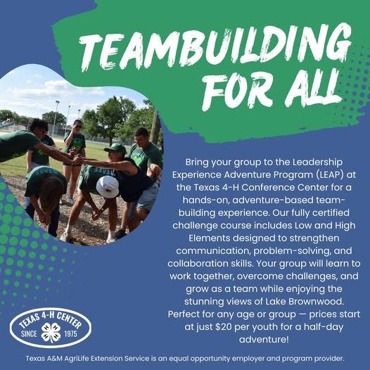 Teambuilding for all