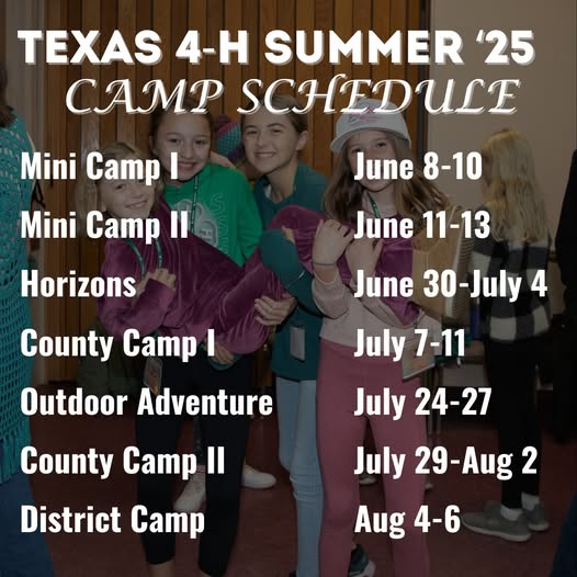 Texas 4-H Summer