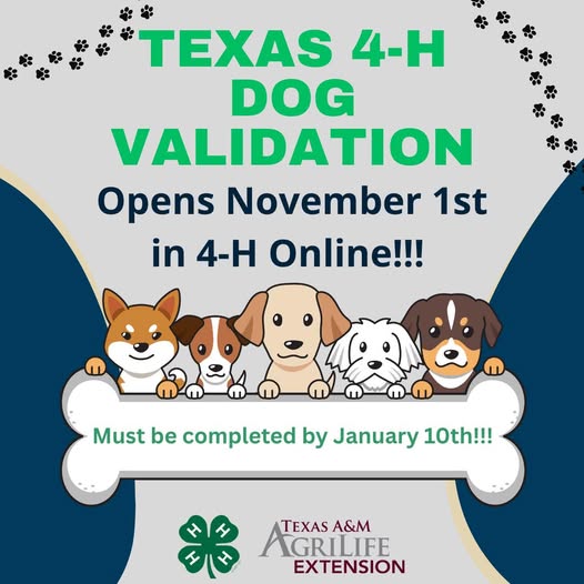 Texas Dog 4-H Validation