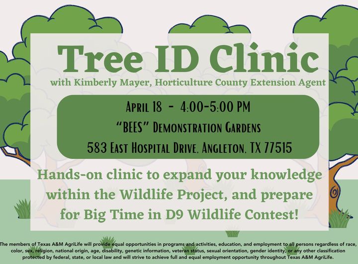 Tree id clinic