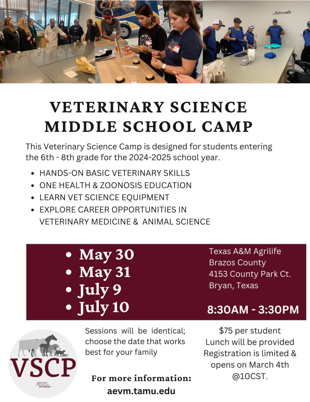 Vet Science Middle School Camp