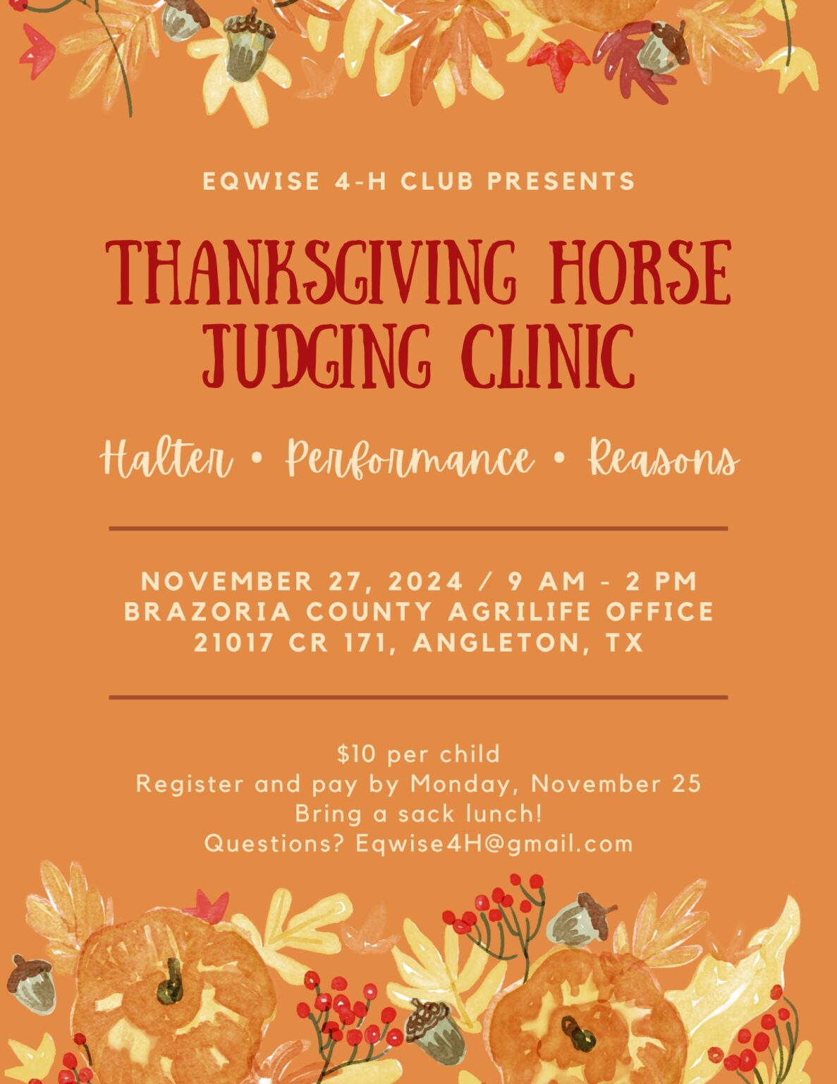 thanksgiving horse judging clinic