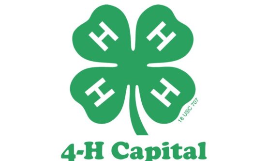 4h cap