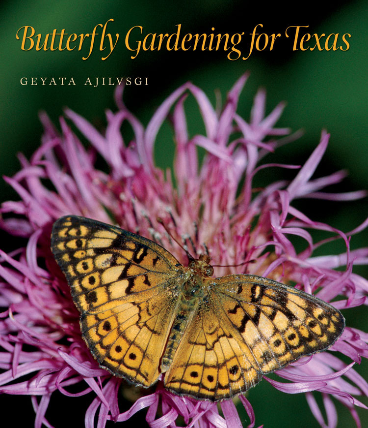 Butterly gardening for Texas