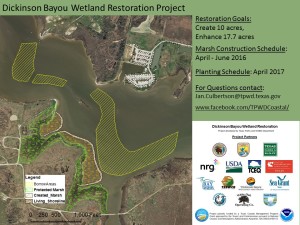 Dickinson Bayou wetland project flyer