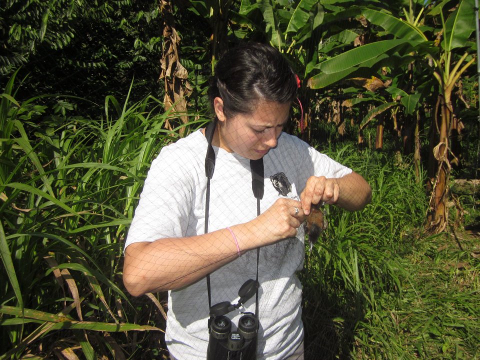 422002_541629573736_971521837_n