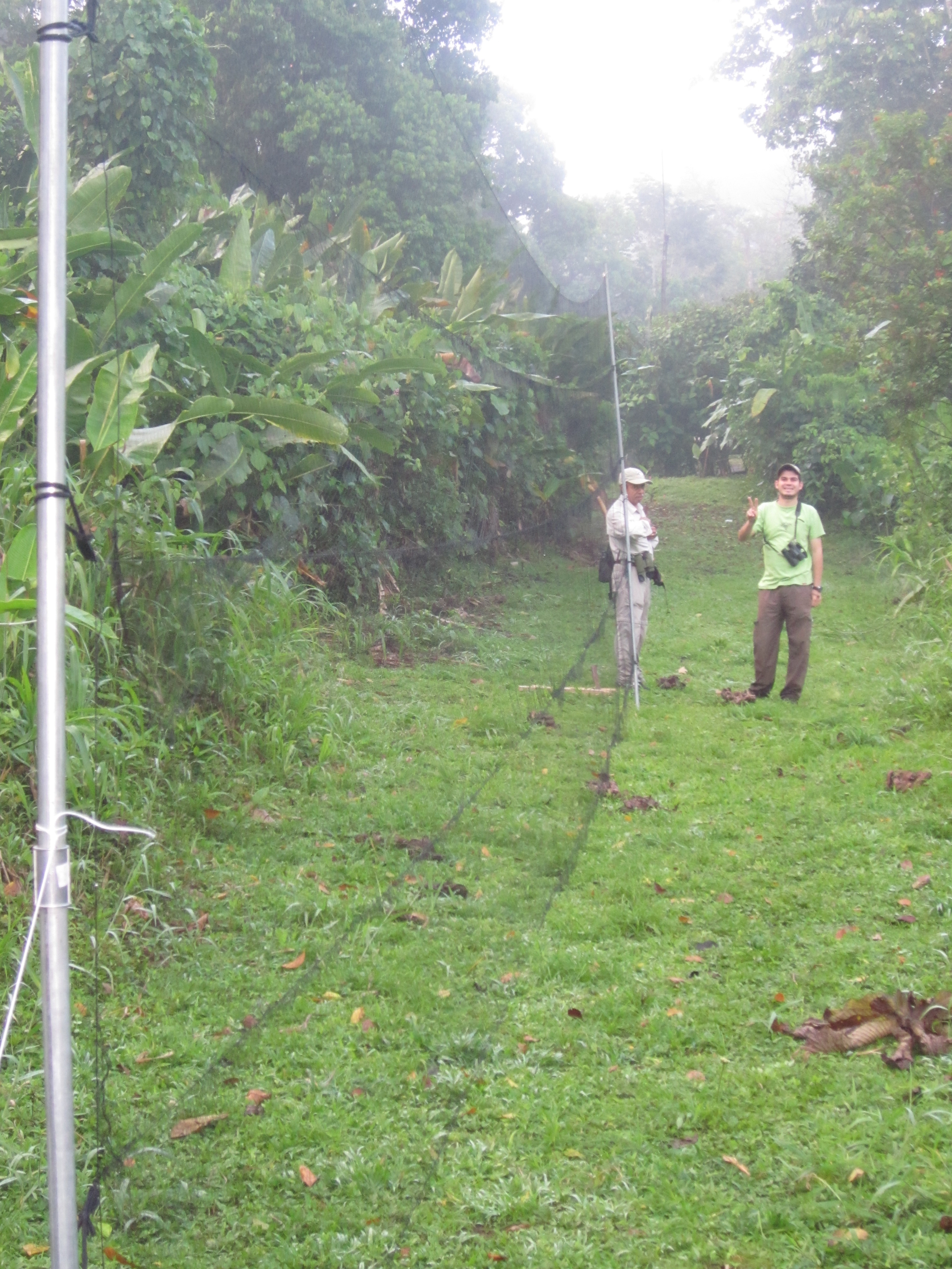 La Selva -sampling (2)