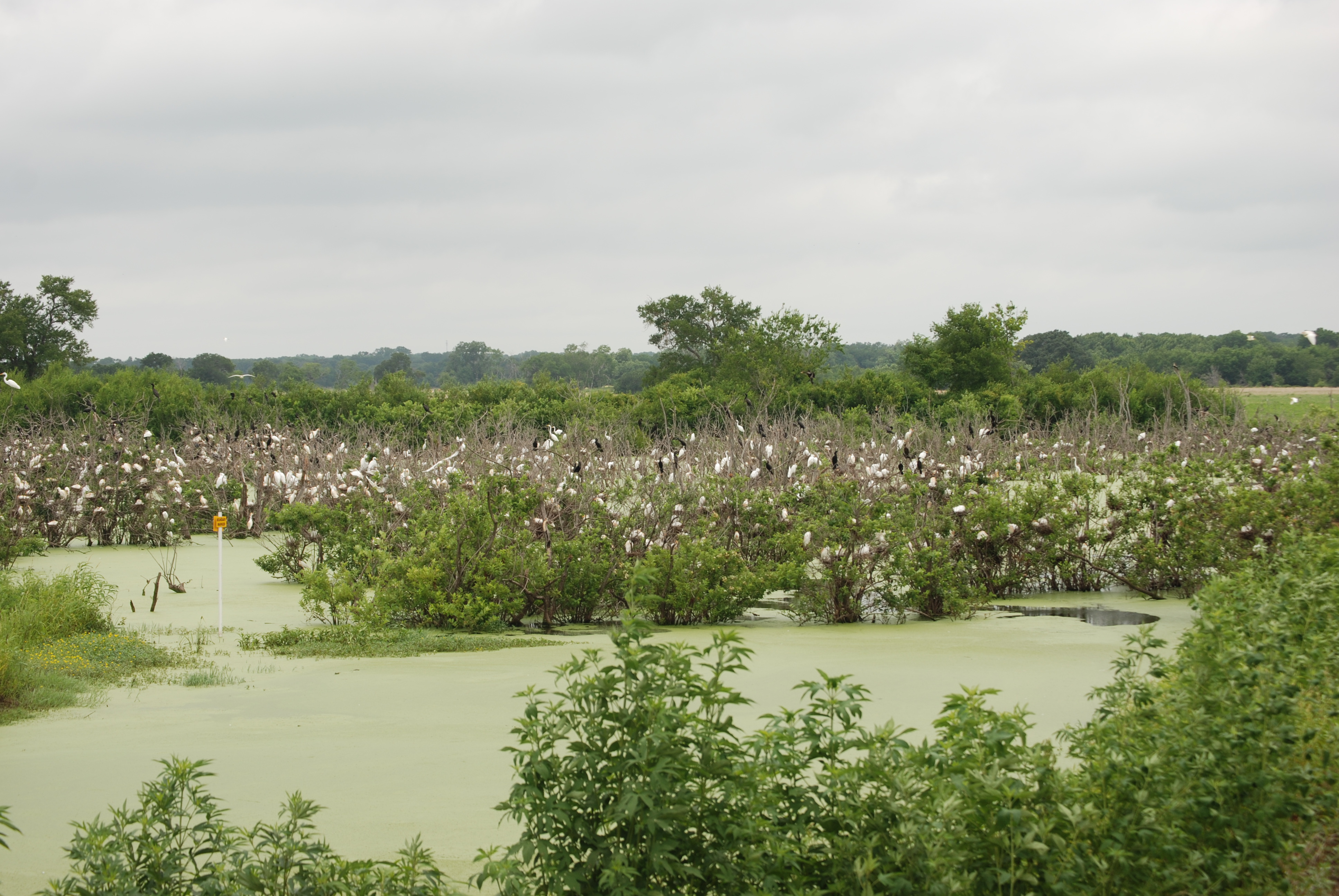 Richland Creek_14 (1)