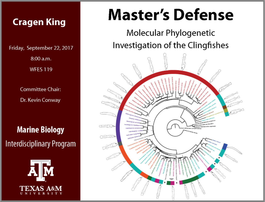 Phd thesis molecular biology pdf image