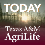 Three Texas A&M AgriLife professors honored for outstanding contributions to science